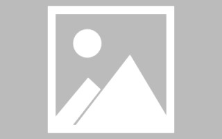 濮阳龙江乐从网站建设（乐从和龙江）