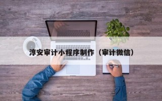 濮阳淳安审计小程序制作（审计微信）